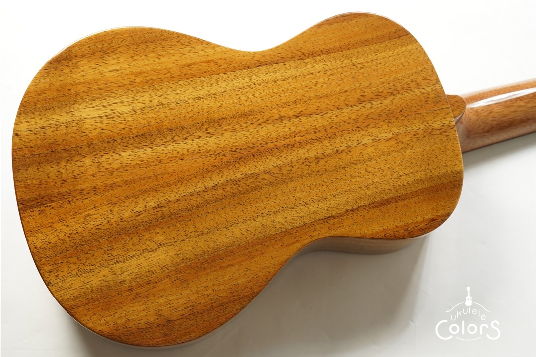 アウトレット特価 BIG ISLAND KT-CTS ビッグアイランド コンサート